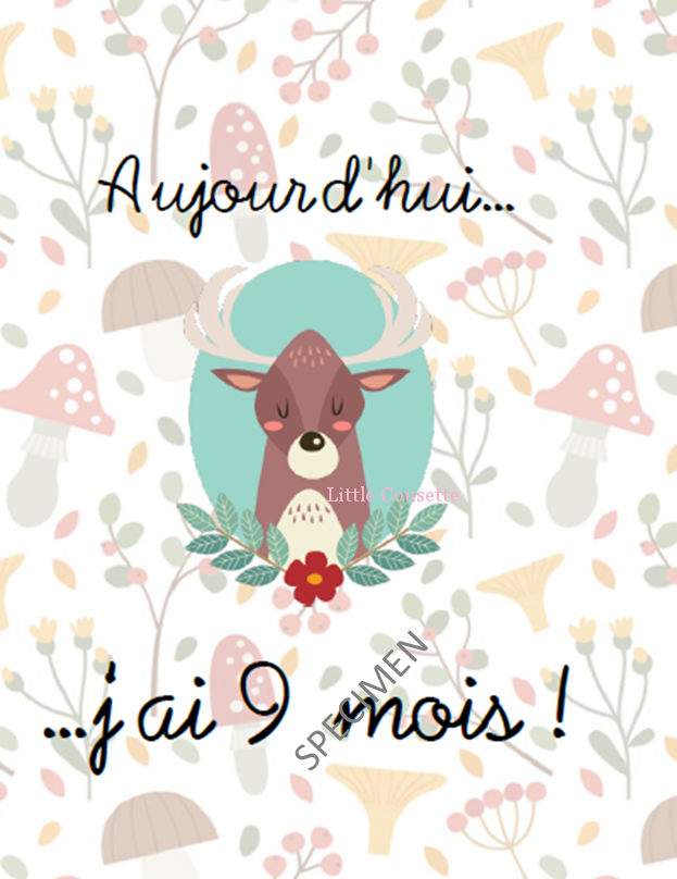 Lot De 24 Cartes Etape Ou Cartes Jalon Pour Suivre La Croissance De Bebe Creations Douces Et Personnalisees Pour Bebes Et Enfants Faire Parts Naissance Et Bapteme Linge De Lit Accessoires Et Decoration De Lot De 24 Cartes Etape Ou Cartes Jalon Pour Suivre La Croissance De Bebe Creations Douces Et Personnalisees Pour Bebes Et Enfants Faire Parts Naissance Et Bapteme Linge De Lit Accessoires Et Decoration De