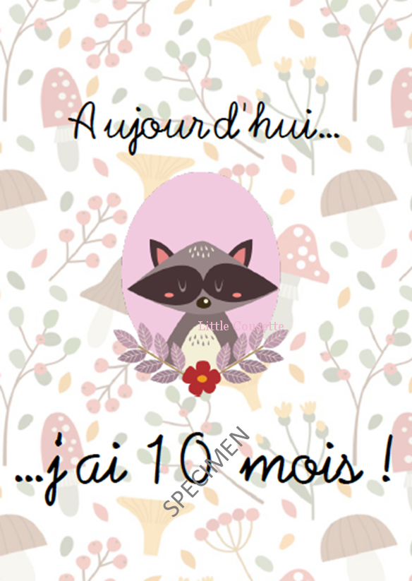Lot De 24 Cartes Etape Ou Cartes Jalon Pour Suivre La Croissance De Bebe Creations Douces Et Personnalisees Pour Bebes Et Enfants Faire Parts Naissance Et Bapteme Linge De Lit Accessoires Et Decoration De Lot De 24 Cartes Etape Ou Cartes Jalon Pour Suivre La Croissance De Bebe Creations Douces Et Personnalisees Pour Bebes Et Enfants Faire Parts Naissance Et Bapteme Linge De Lit Accessoires Et Decoration De