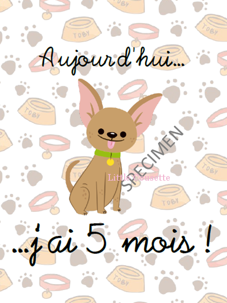 Lot De 24 Cartes Etape Ou Cartes Jalon Pour Suivre La Croissance De Bebe Theme Chiens Et Chats Creations Douces Et Personnalisees Pour Bebes Et Enfants Faire Parts Naissance Et Bapteme Linge De Lit Lot De 24 Cartes Etape Ou Cartes Jalon Pour Suivre La Croissance De Bebe Theme Chiens Et Chats Creations Douces Et Personnalisees Pour Bebes Et Enfants Faire Parts Naissance Et Bapteme Linge De Lit