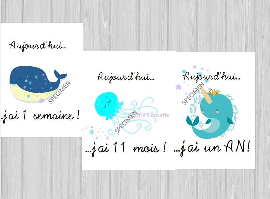 Lot De 24 Cartes Etape Ou Cartes Jalon Theme Mer Pour Suivre La Croissance De Bebe Creations Douces Et Personnalisees Pour Bebes Et Enfants Faire Parts Naissance Et Bapteme Linge De Lit Accessoires Et Lot De 24 Cartes Etape Ou Cartes Jalon Theme Mer Pour Suivre La Croissance De Bebe Creations Douces Et Personnalisees Pour Bebes Et Enfants Faire Parts Naissance Et Bapteme Linge De Lit Accessoires Et