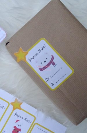 Lot de 6 étiquettes Noël papier cartonné ou autocollantes pour décorer vos cadeaux de Noël