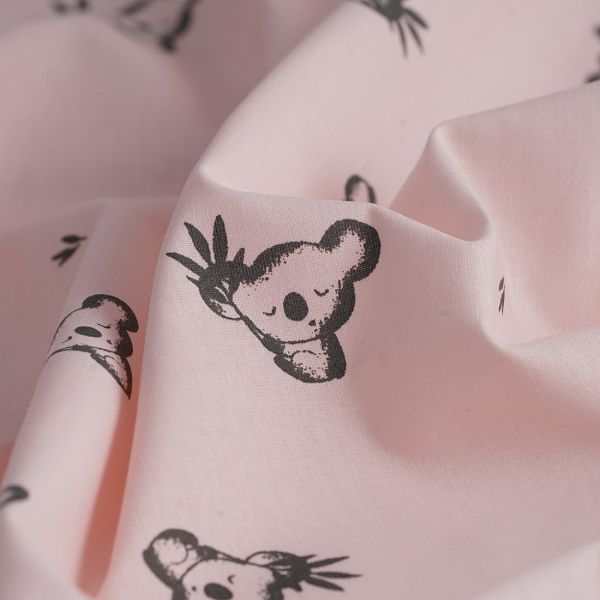 Koalas roses